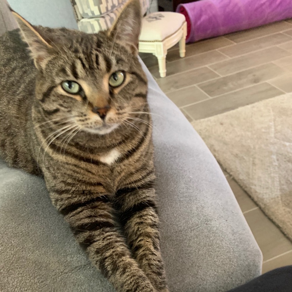 Meet your Posher, Brenda